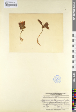 LE 01098935