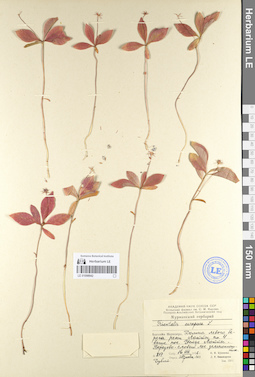 LE 01098942