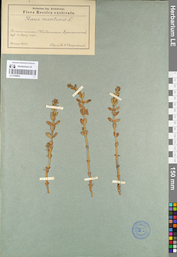 LE 01098953