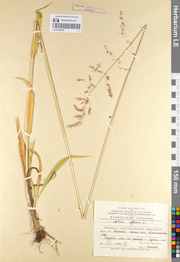 LE 01128198