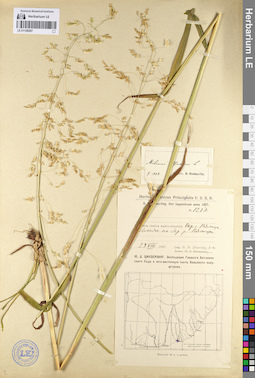 LE 01128207