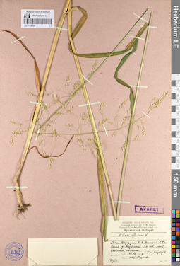 LE 01128226