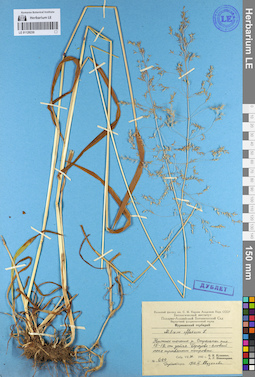 LE 01128230