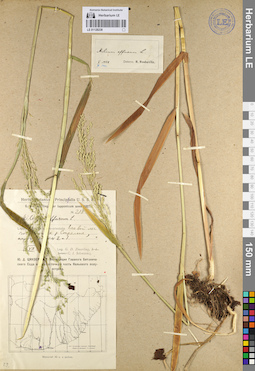 LE 01128238