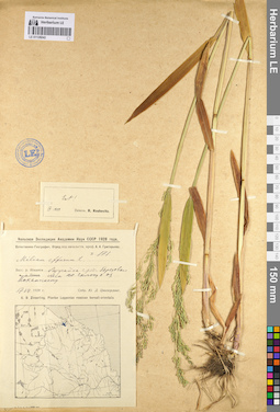 LE 01128242