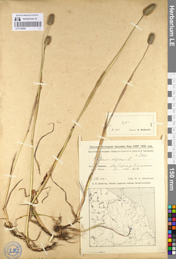 LE 01128268