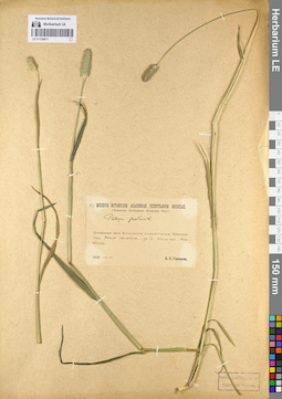 LE 01128411
