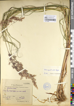 LE 01128857