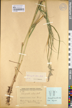 LE 01128888