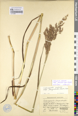 LE 01128906