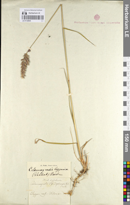 LE 01128945