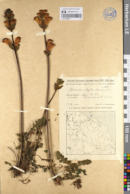 LE 01129078
