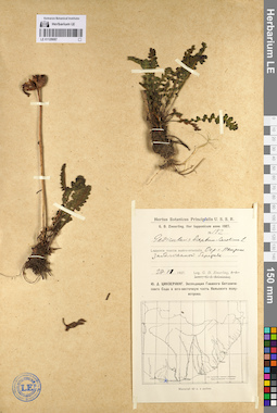 LE 01129087