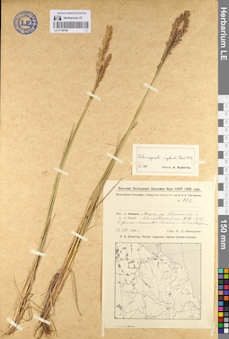 LE 01129169