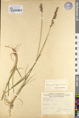 LE 01129178