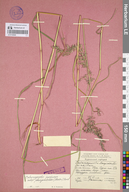 LE 01129305