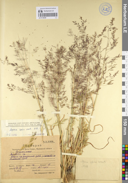 LE 01129329