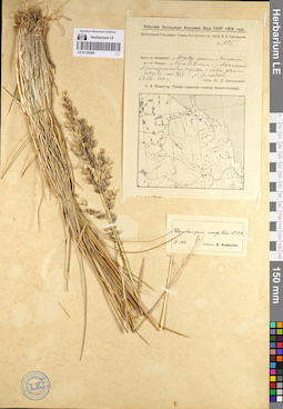 LE 01129360