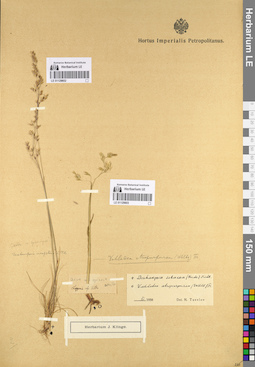 LE 01129603
