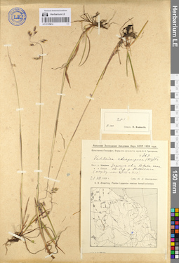 LE 01129614