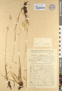 LE 01129621