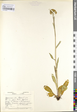 LE 01103478
