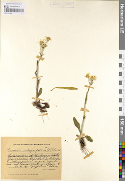 LE 01103490