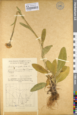 LE 01103496