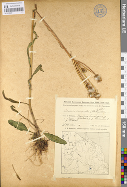 LE 01103497