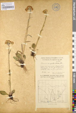 LE 01103504