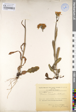LE 01103574