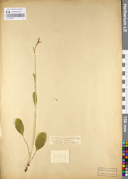 LE 01103576