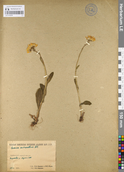 LE 01103578