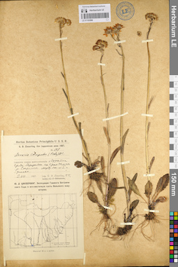LE 01103588