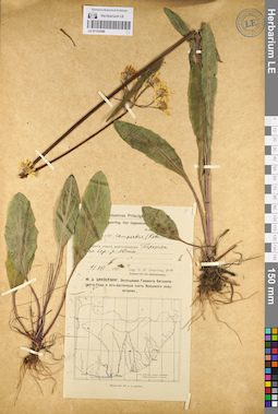 LE 01103590
