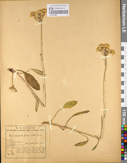 LE 01103593