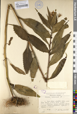 LE 01103615