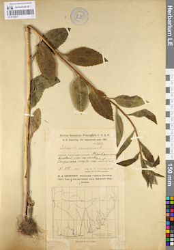 LE 01103617
