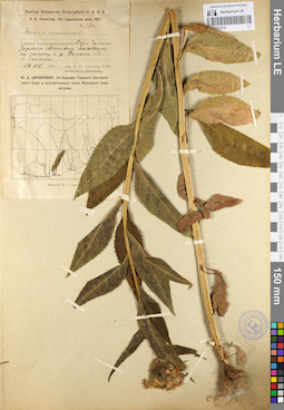LE 01103619