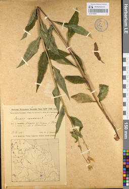 LE 01103621