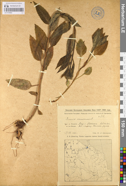 LE 01103622