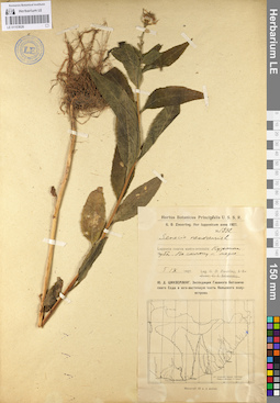 LE 01103626