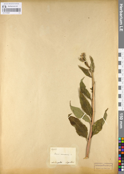 LE 01103627