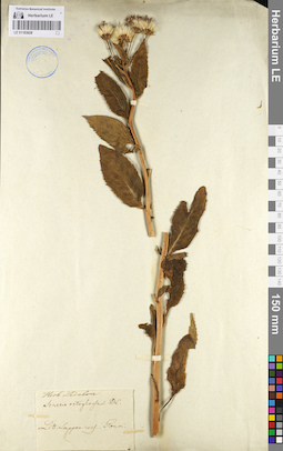LE 01103628