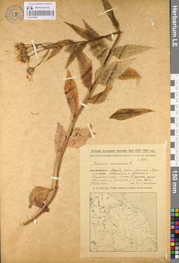 LE 01103631