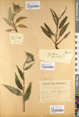 LE 01103671