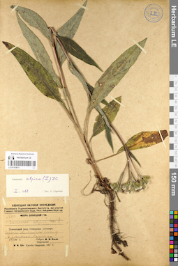 LE 01103673