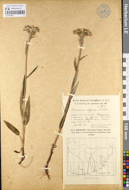 LE 01103678