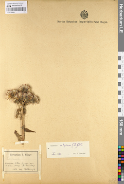 LE 01103684