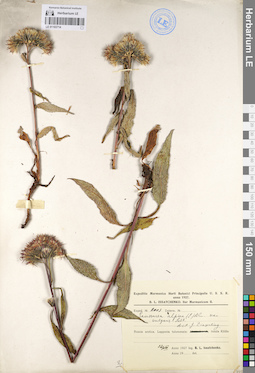LE 01103714